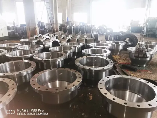 Grade 29 Titanium Alpha Beta Alloy Forging 
