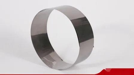 Competitive Price Gr. 2 Seamless Titanium Tube for Sale 