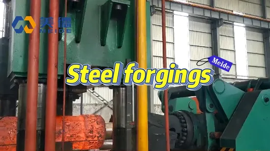 Butterfly Valve Seat Grade 5 Titanium Ring Hastelloy Forging Custom CNC Rolling 